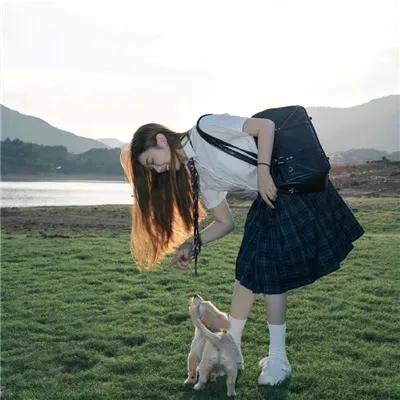 阿亚潘和柯西